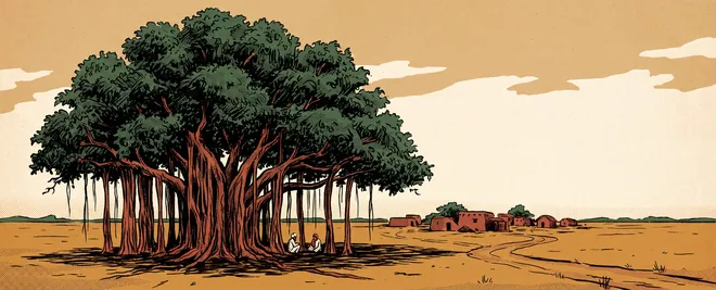 A banyan tree with hanging roots beside a village on the Sandal Bar